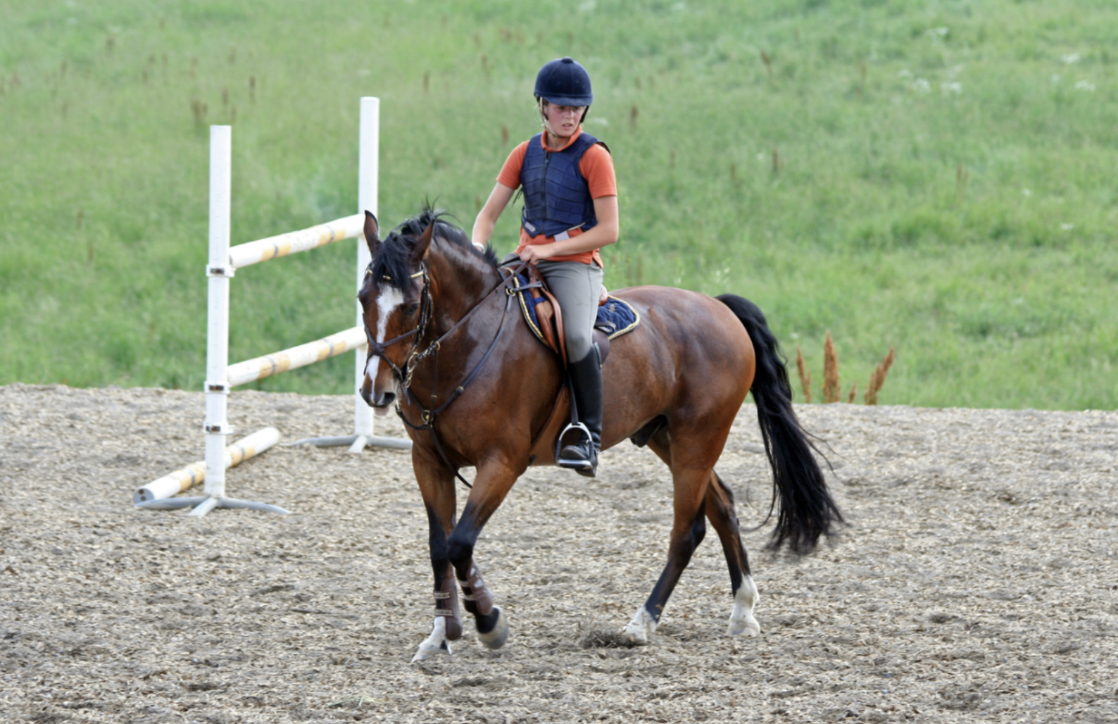 How Long Does it Take to Train a Horse?