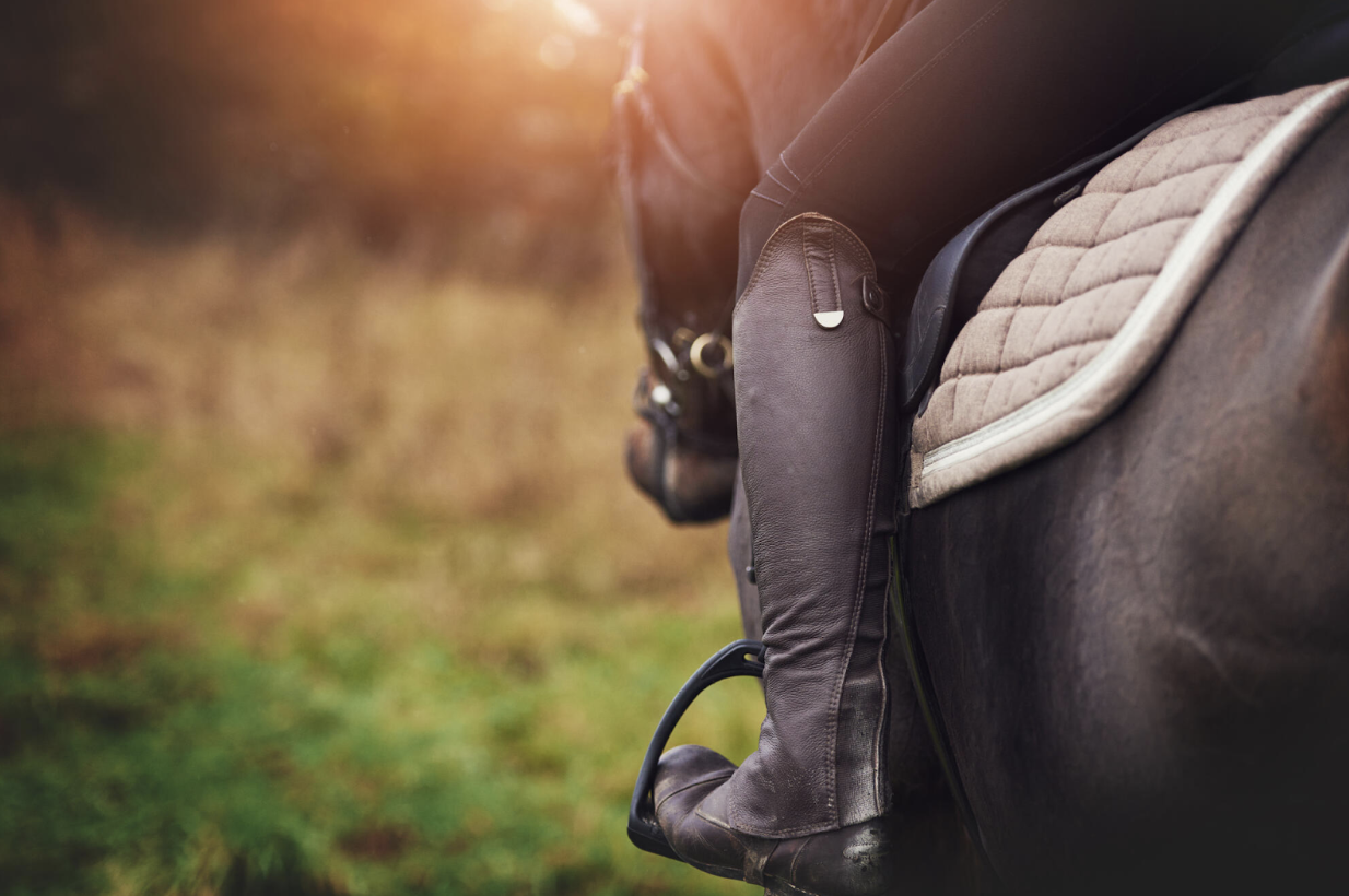 Choosing the Right Saddle for Horse Training